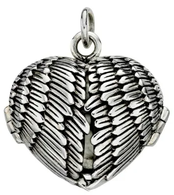 Collier pendentif photo ailes en argent 925/1000
