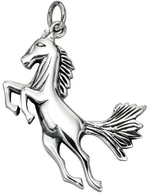 Collier cheval en argent 925/1000