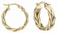 Boucles d oreilles  éclat d or  en or 9 carats